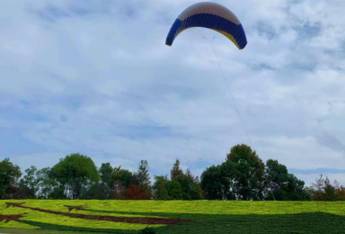 《暢想藍天·筑夢飛行》——南康飛行小鎮(zhèn)邊坡綠化